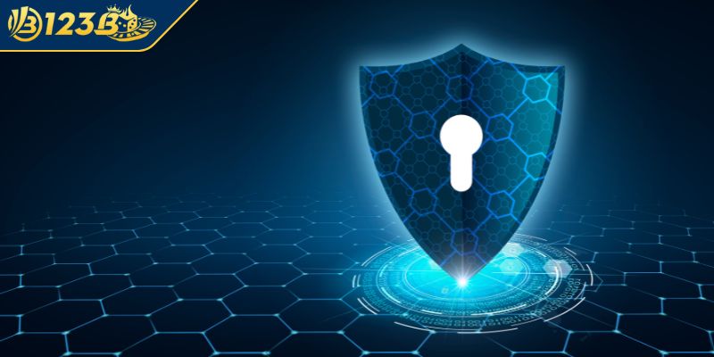 Quyền hạn của khách hàng theo chính sách bảo mật 123B